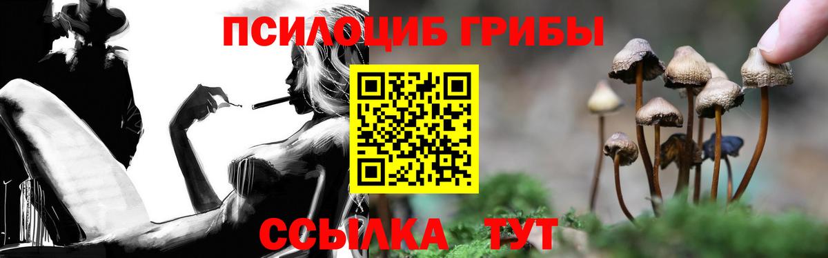 Галлюциногенные грибы MAGIC MUSHROOMS  Вход с VPN  Кандалакша 